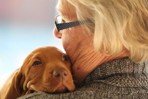 Terapias asistidas con animales en la ayuda a domicilio