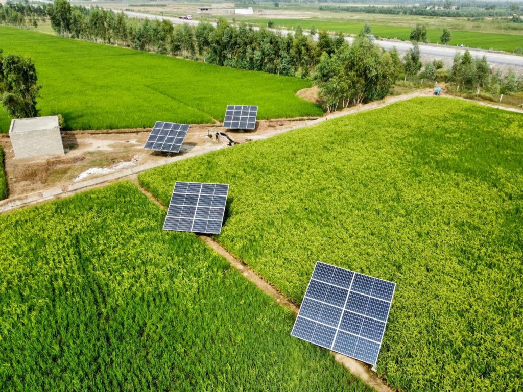 paneles solares en un campo para riego solar