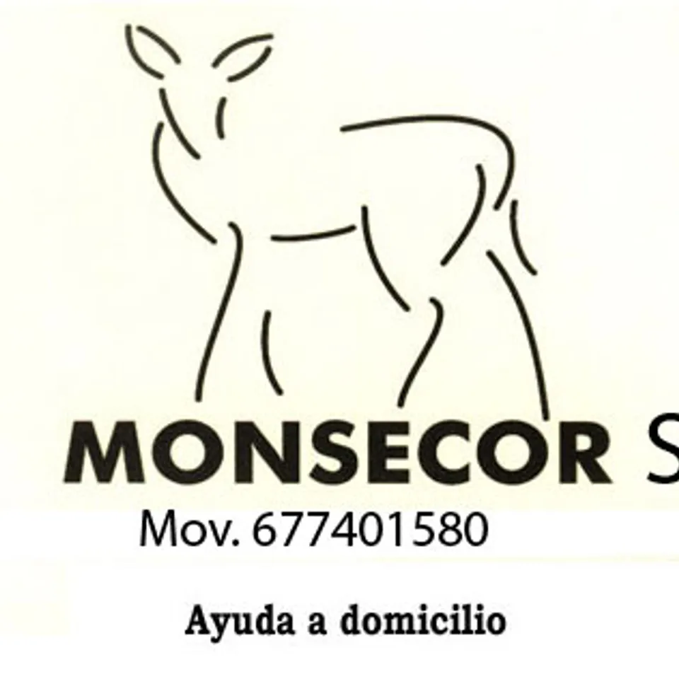 Monsecor S.L.