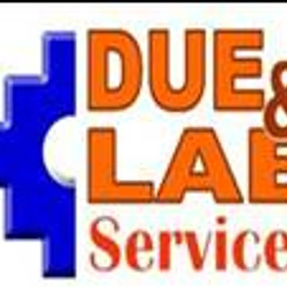 DUE & LAB SERVICES SL.
