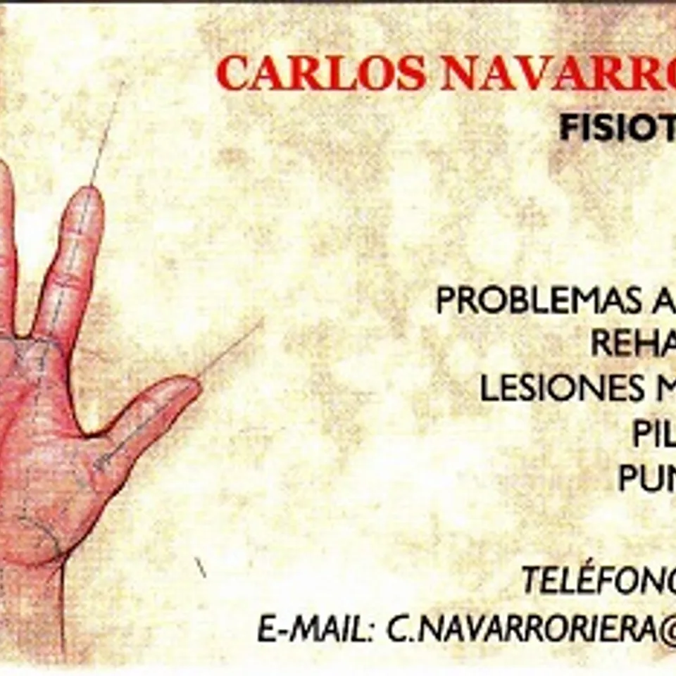 Carlos N.