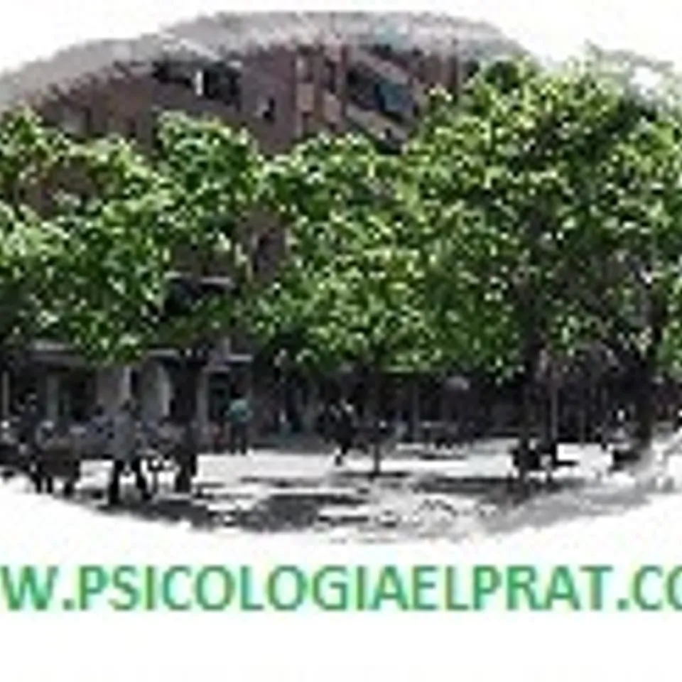 Psicologia El Prat P.