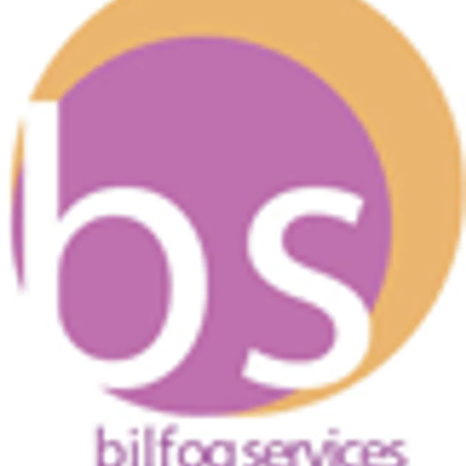 Bs bilfog services