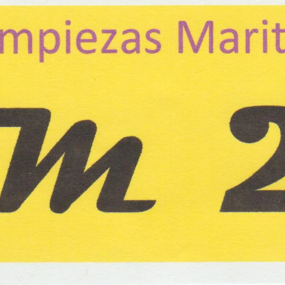 LIMPIEZAS MARITZA   LM2X1