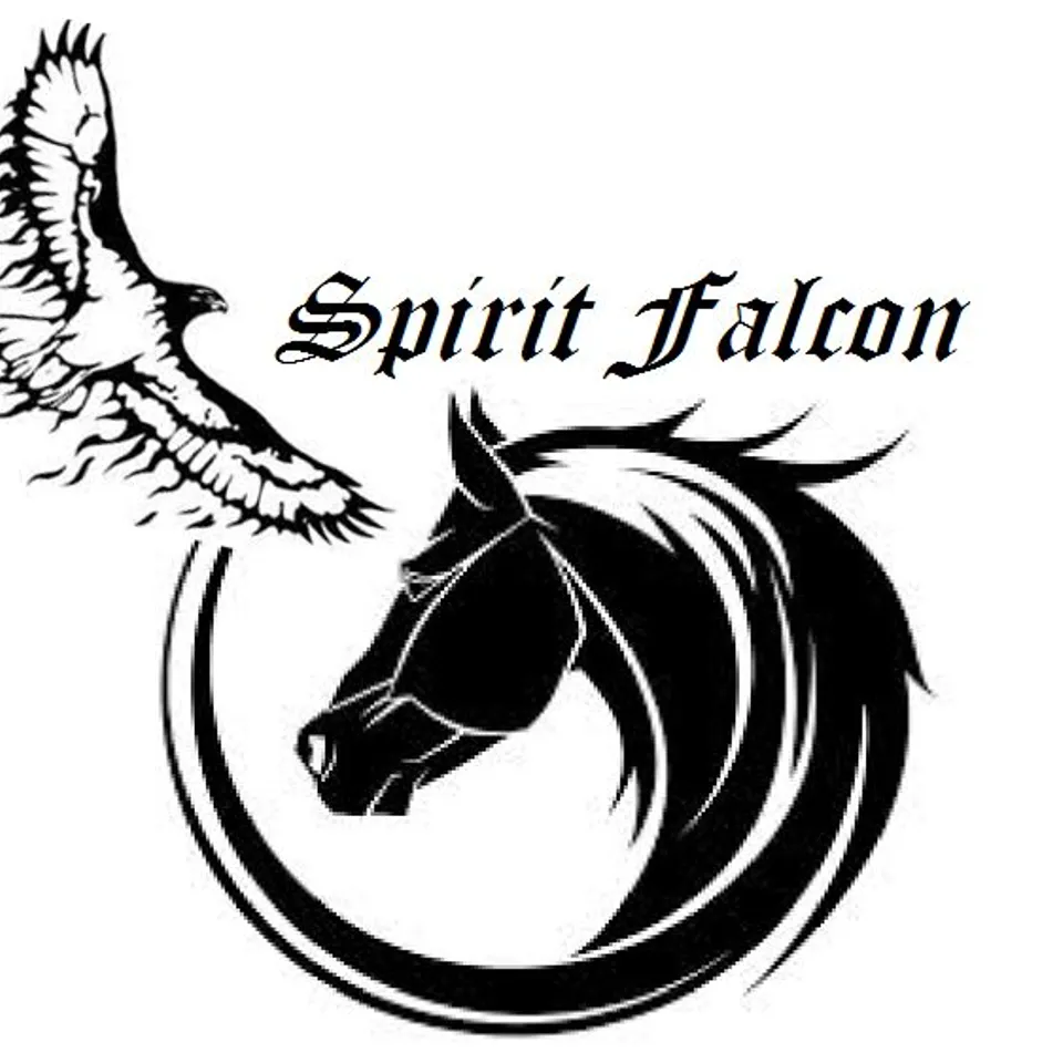 Spirit Falcon