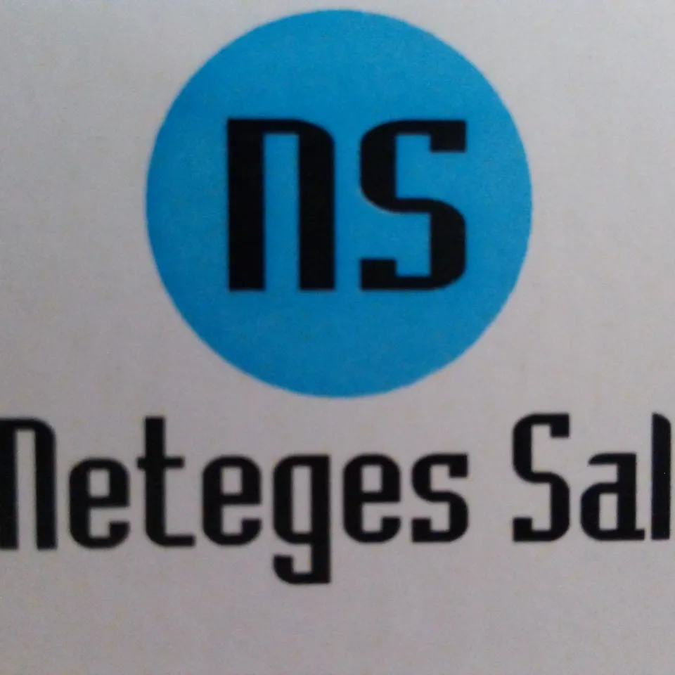 NETEGES SALT