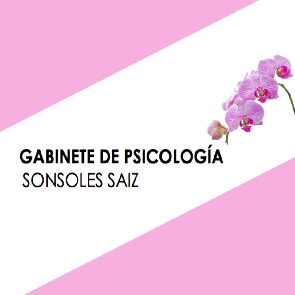 GABINETE DE PSICOLOGIA SONSOLES SAIZ
