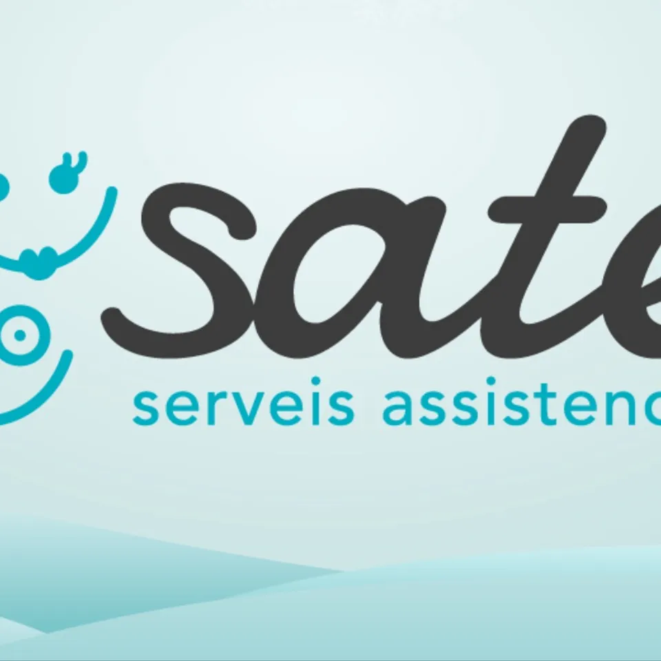 SATE SERVEIS ASSISTENCIALS 