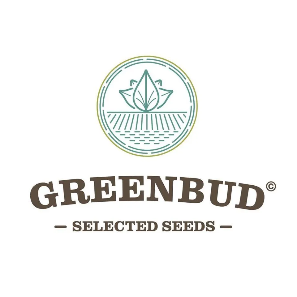 Green Bud Seeds