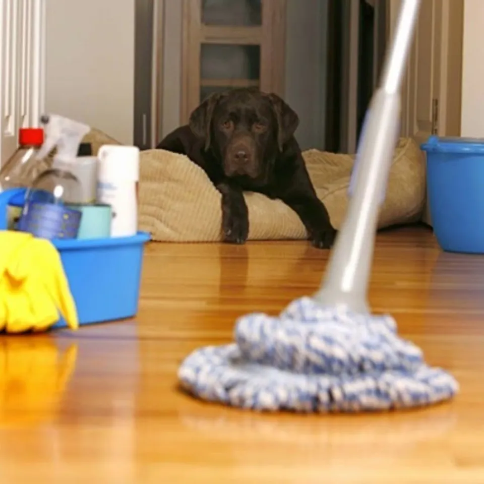 Limpieza doméstica