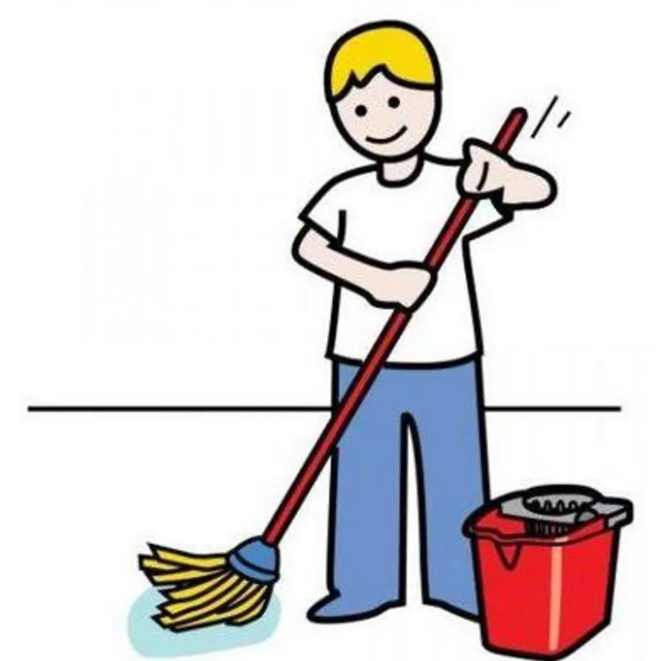 Limpieza de comunidades, limpieza domestica