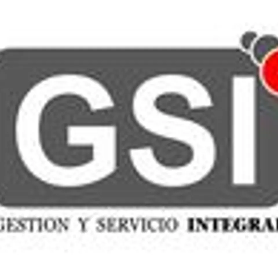 GS.I SERVICIOS Y REPARACIÓN DE HUMEDAD S.L
