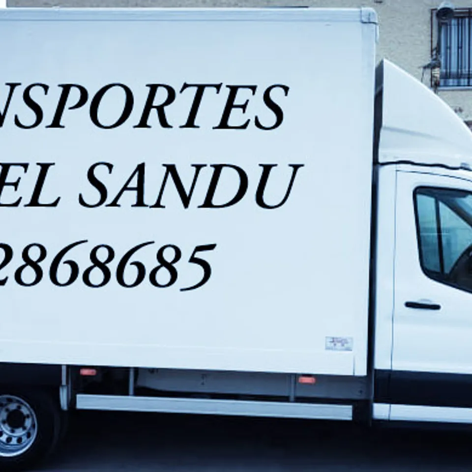 Transportes Viorel Sandu