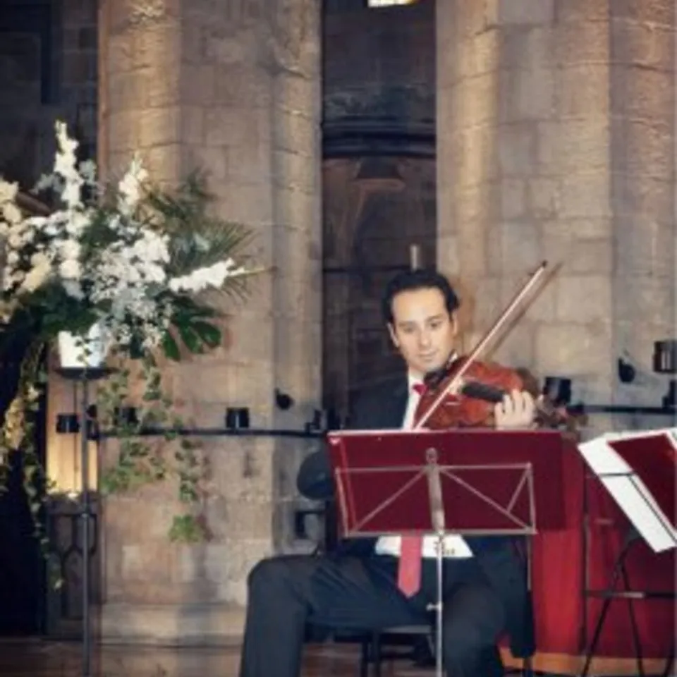 violinista profesional clases-Barcelona-