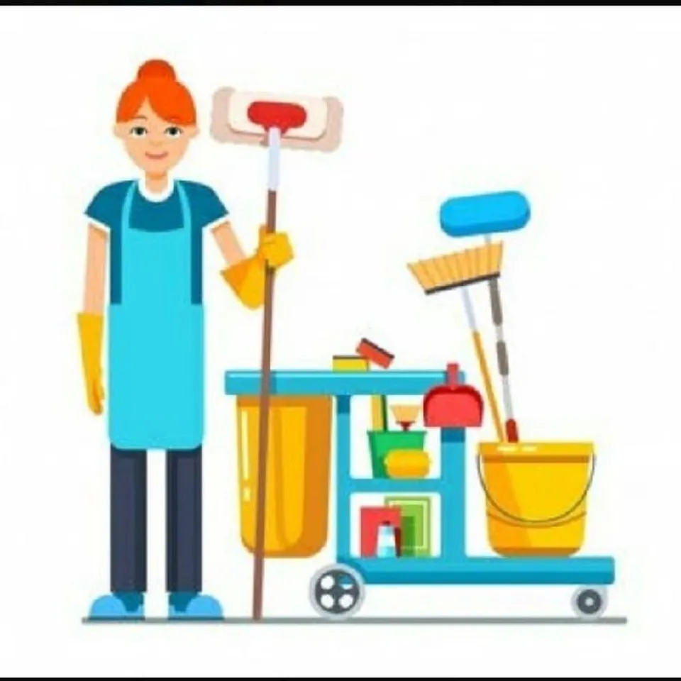 Servicio de limpieza y cuidadora externa